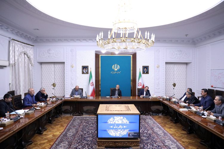 دولت با بهره‌گیری از همه ظرفیت‌های خود در کنار فعالان اقتصادی خواهد بود