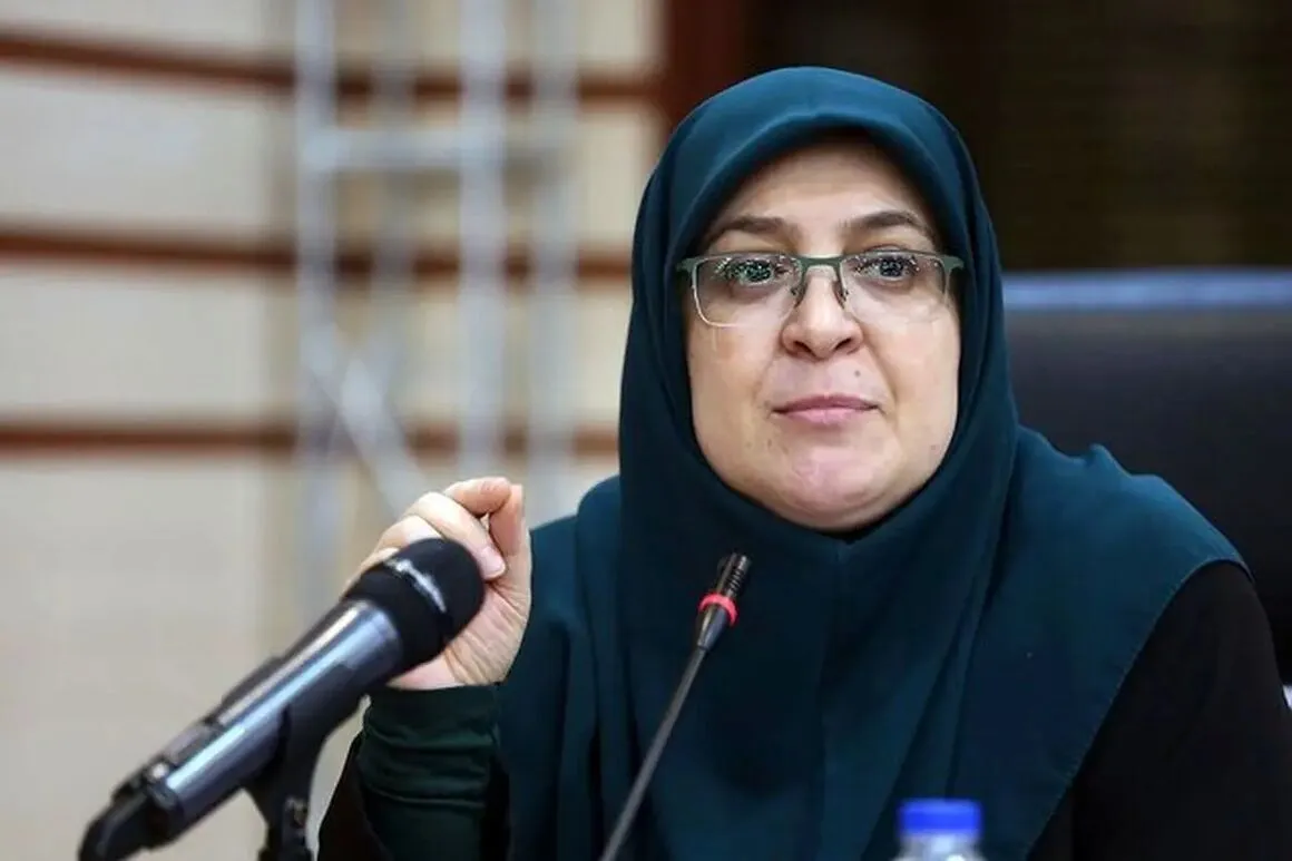 مهاجرانی: تصمیم نهایی درباره بنزین پس از جمعبندی به مردم اعلام میشود